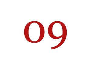 Manera 9